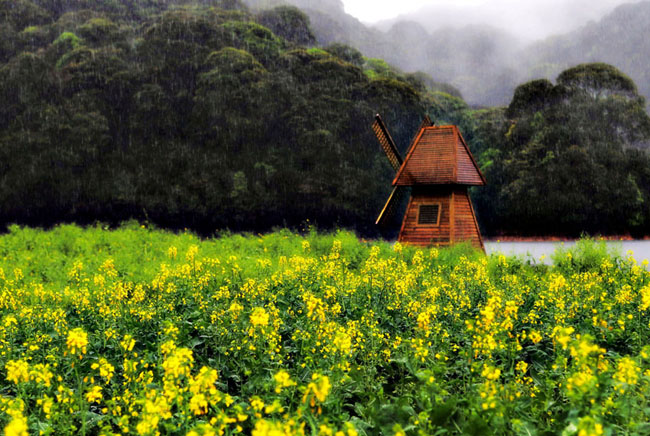 佛山中；峋傩写踊湃讼裆阌安煞缭硕